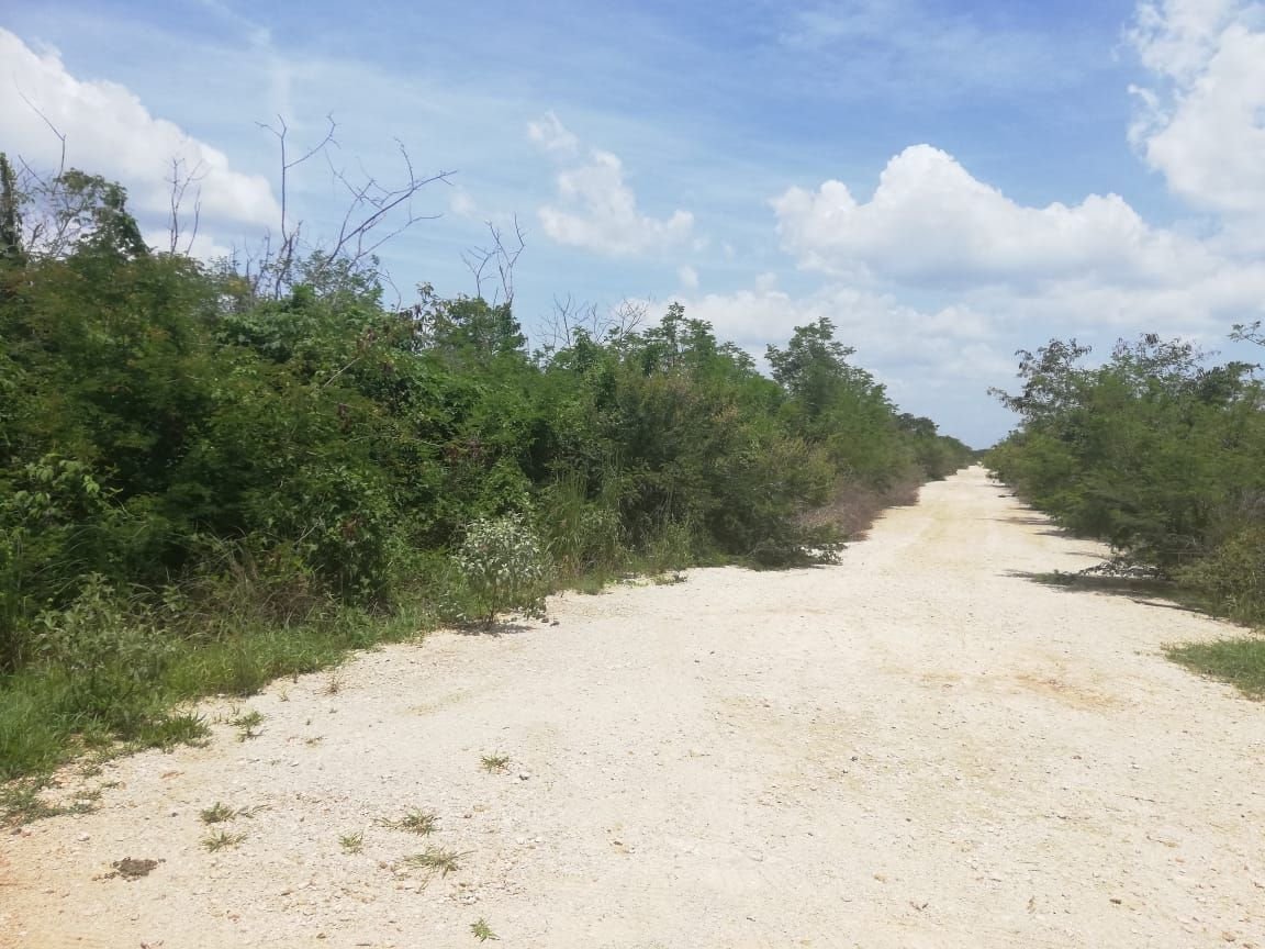 Terreno en Mérida Norte — foto 1