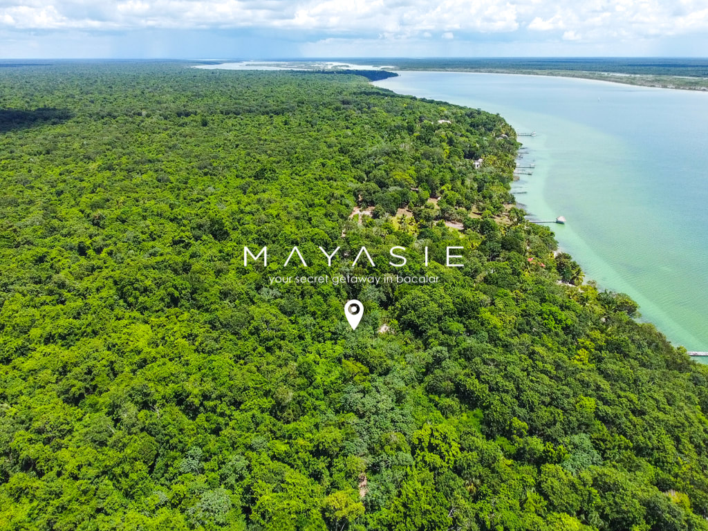 MAYASIE II Bacalar