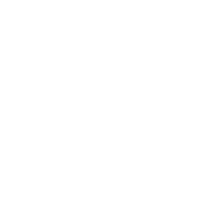 CAMELIA — foto 1