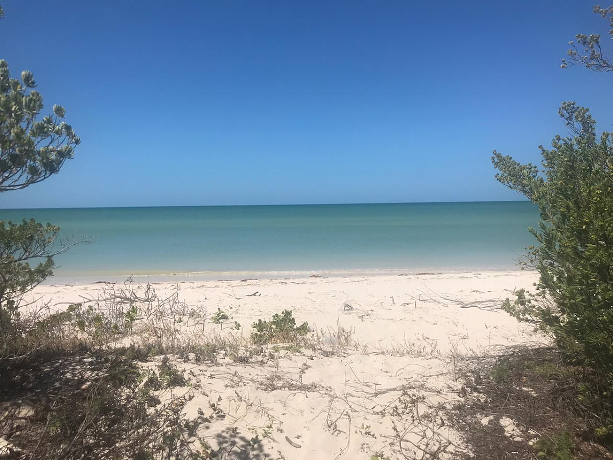 Terreno en venta frente al mar en  Sisal, Yucatán. — foto 1