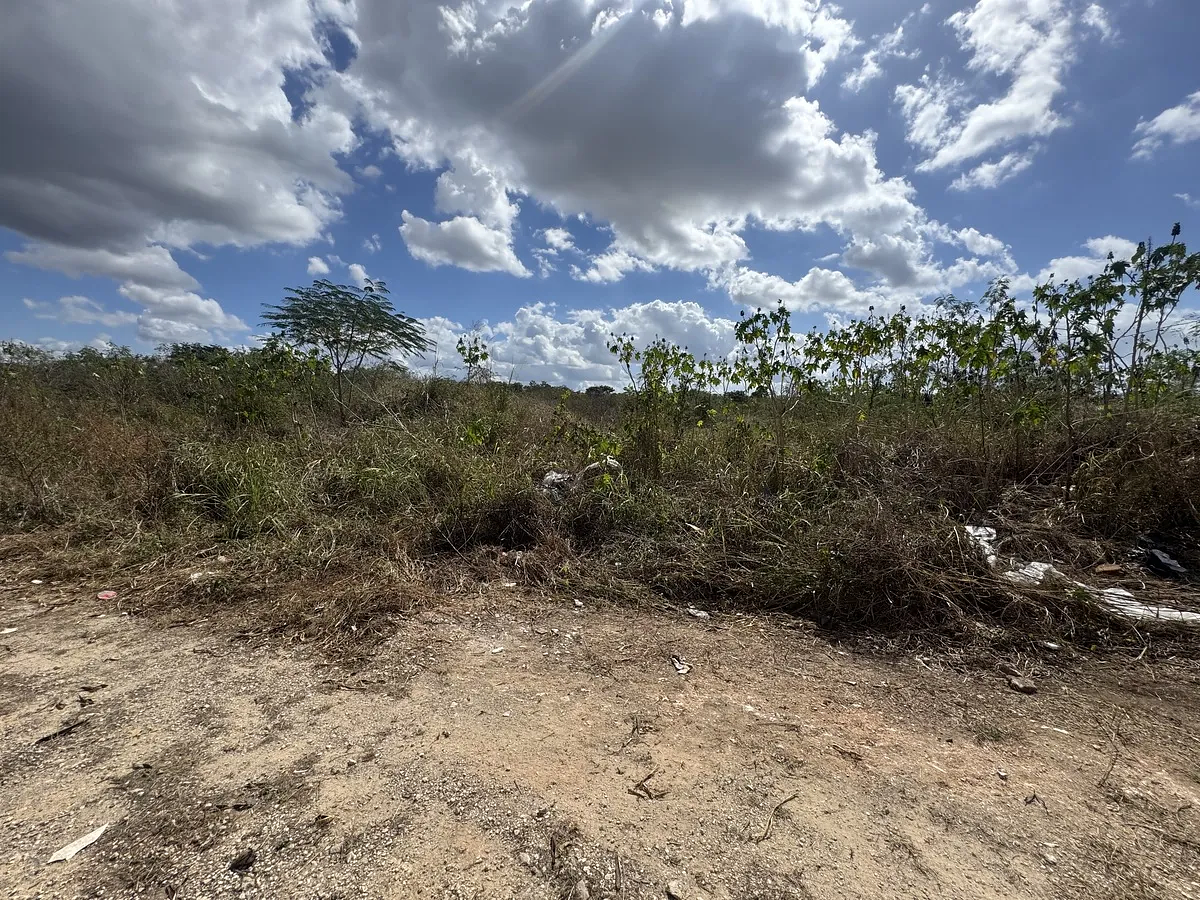 Terreno en venta en Santa Gertrudis Copo, Mérida | ideal para proyectos — foto 1