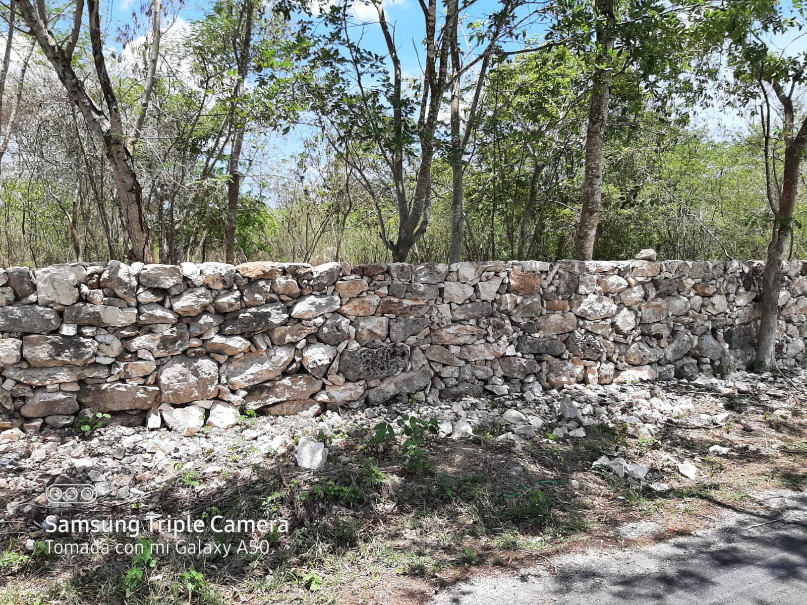 Sáasil I — foto 2