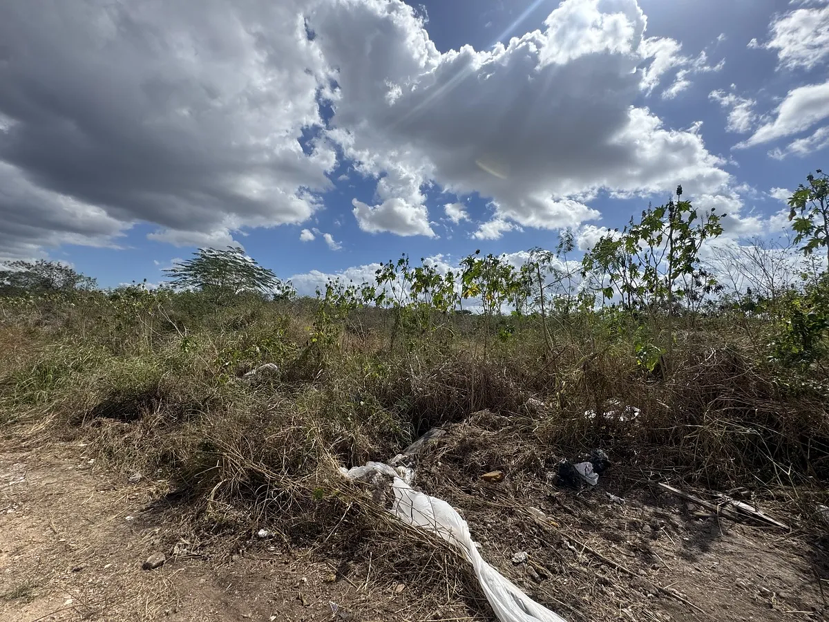 Terreno en venta en Santa Gertrudis Copo, Mérida | ideal para proyectos — foto 2