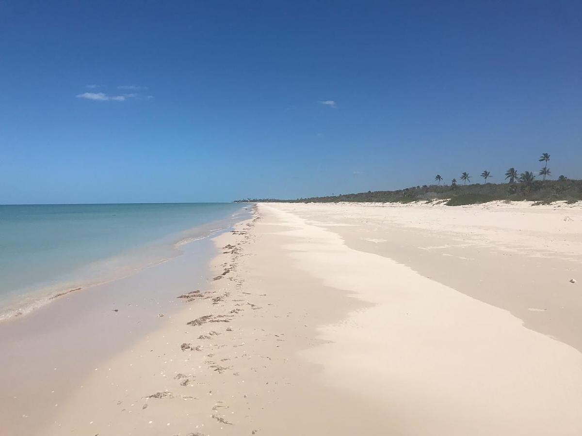 Terreno en venta frente al mar en  Sisal, Yucatán. — foto 2