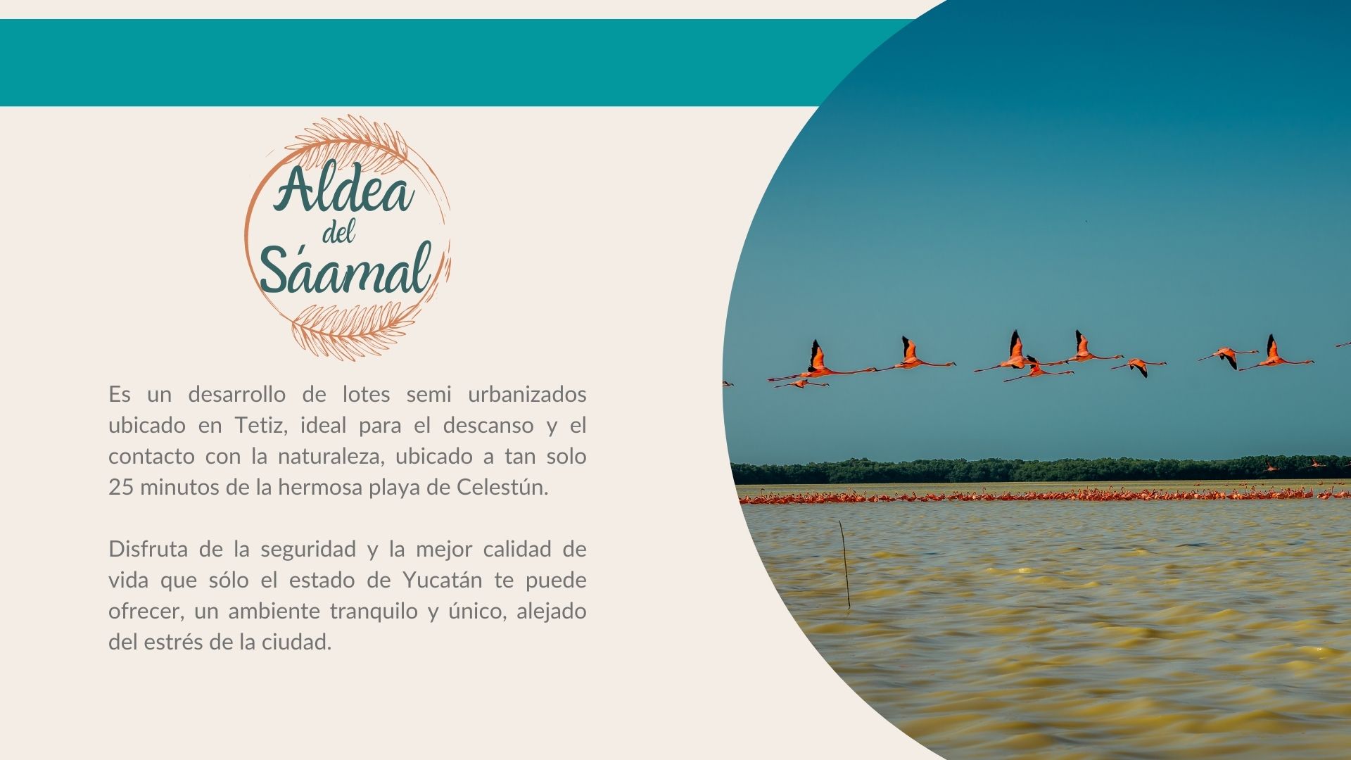 Aldea del Saámal II — foto 2