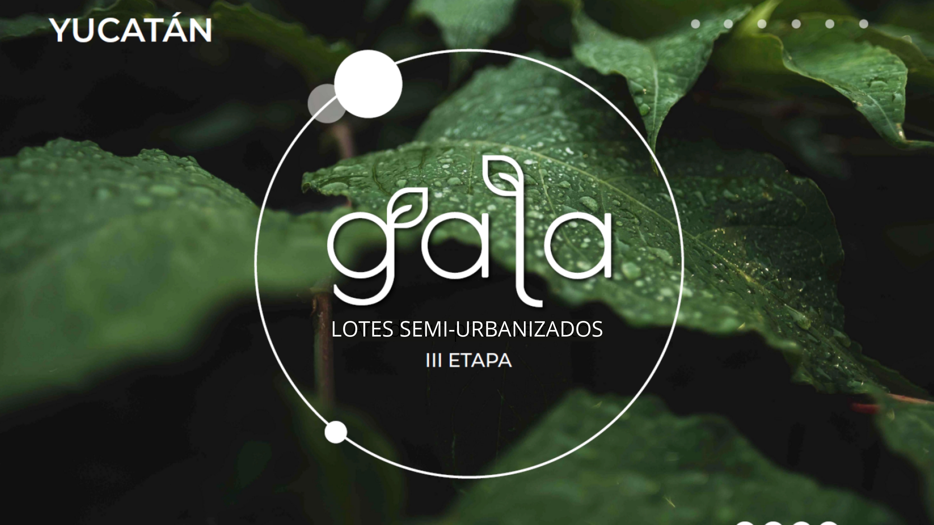 Galla III — foto 2