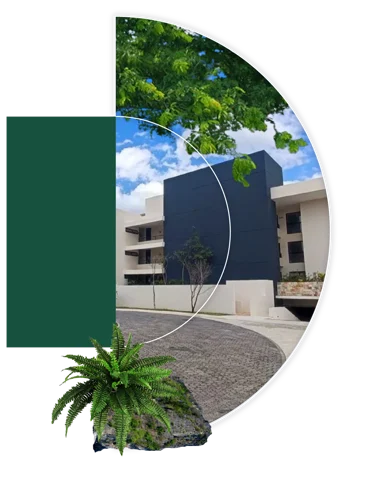 Arietta Mérida — foto 2