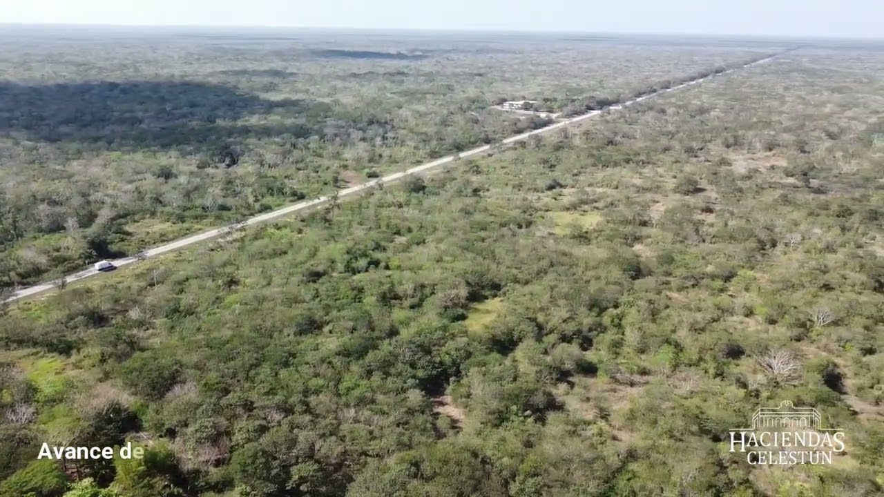 Haciendas Celestún — foto 2