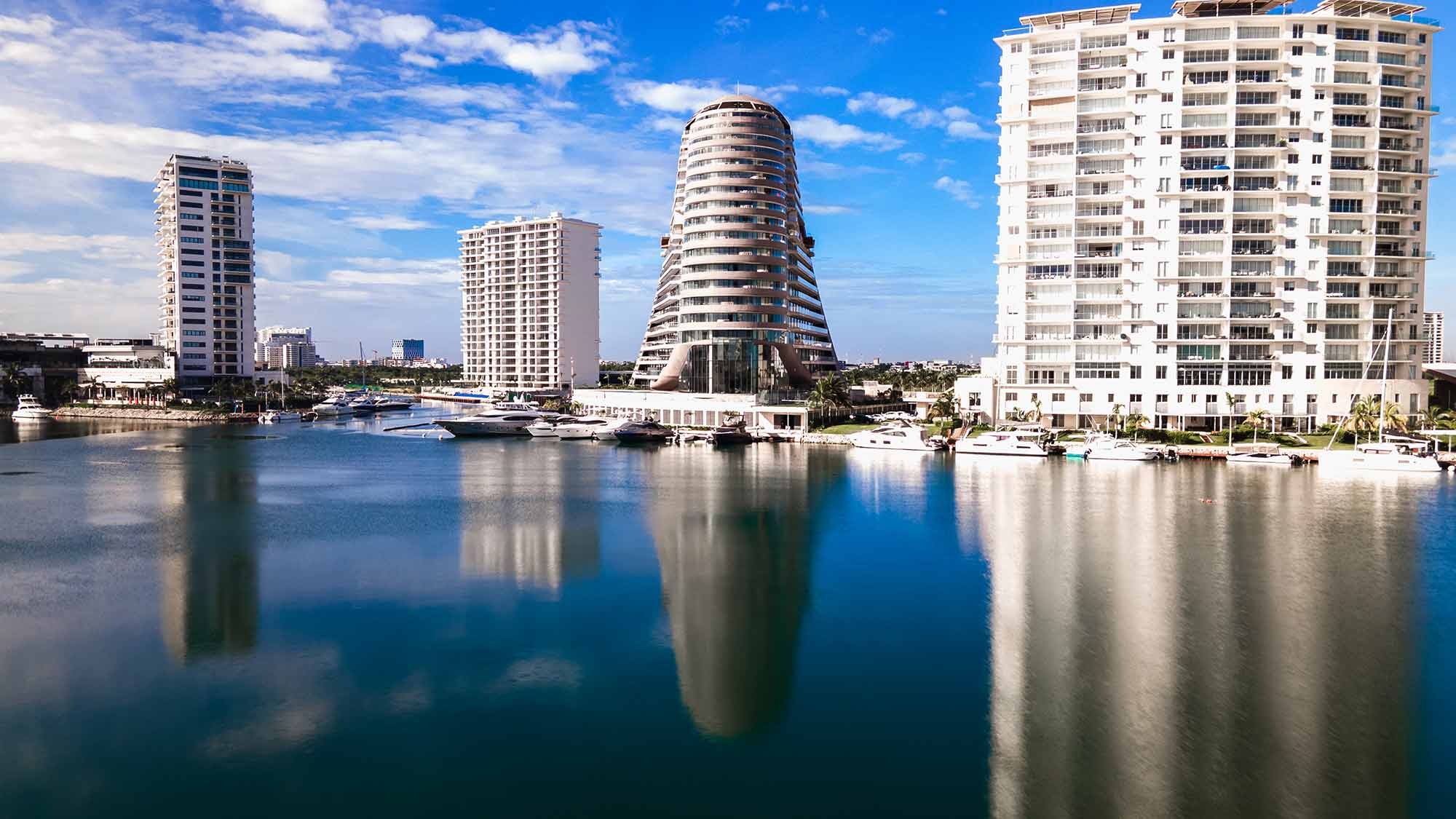 SHARK TOWER — foto 3