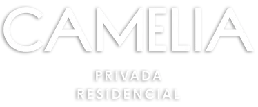 CAMELIA — foto 3