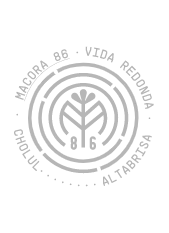 Macora 86 — foto 3