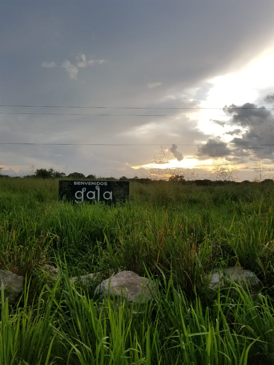 GALA I Y II — foto 4