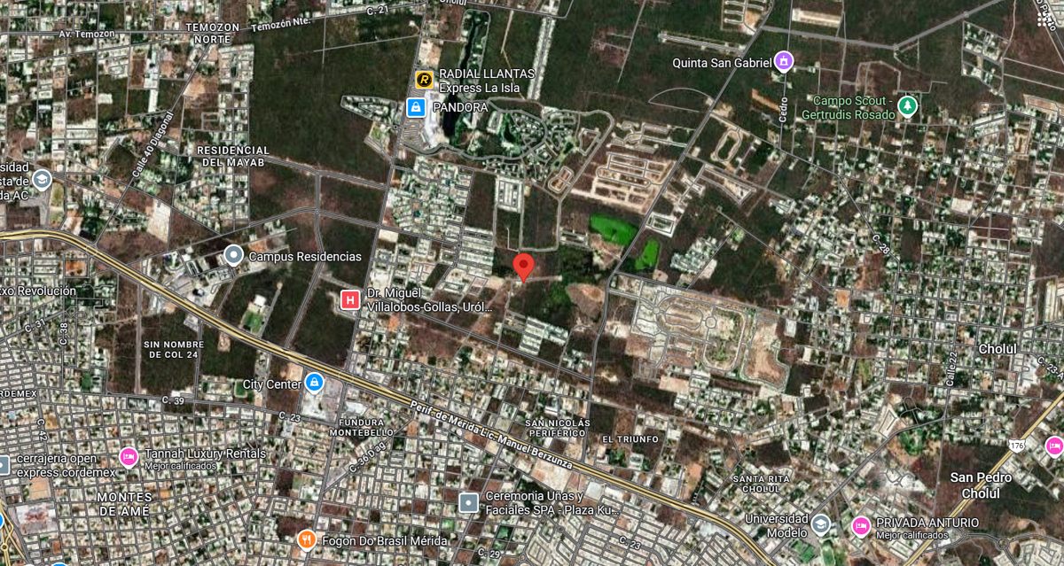 Terreno en venta en Santa Gertrudis Copo, Mérida | ideal para proyectos — foto 4