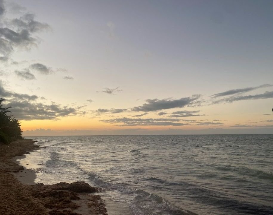 Terreno en venta en playa progreso, Yucatán, México. — foto 4