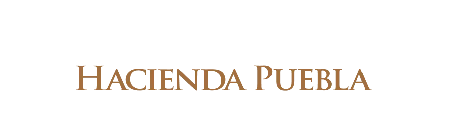 Puebla — foto 4