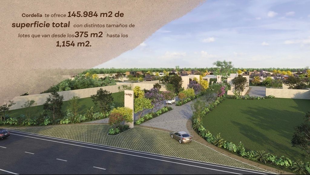 Terreno en Venta, MERIDA YUCATAN. — foto 4