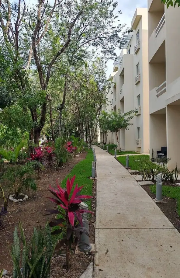 DEPARTAMENTO EN VENTA PLAYA DEL CARMEN LA SELVA RESIDENCES — foto 5