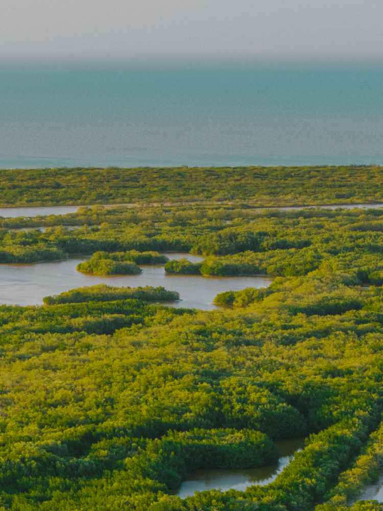 Nativa El Cuyo — foto 5