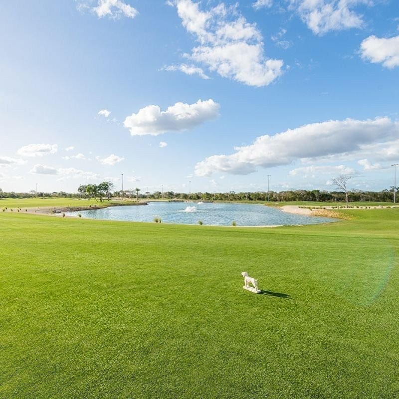 Terreno en venta en privada Provincia con club de golf, Mérida, Yucatán — foto 5
