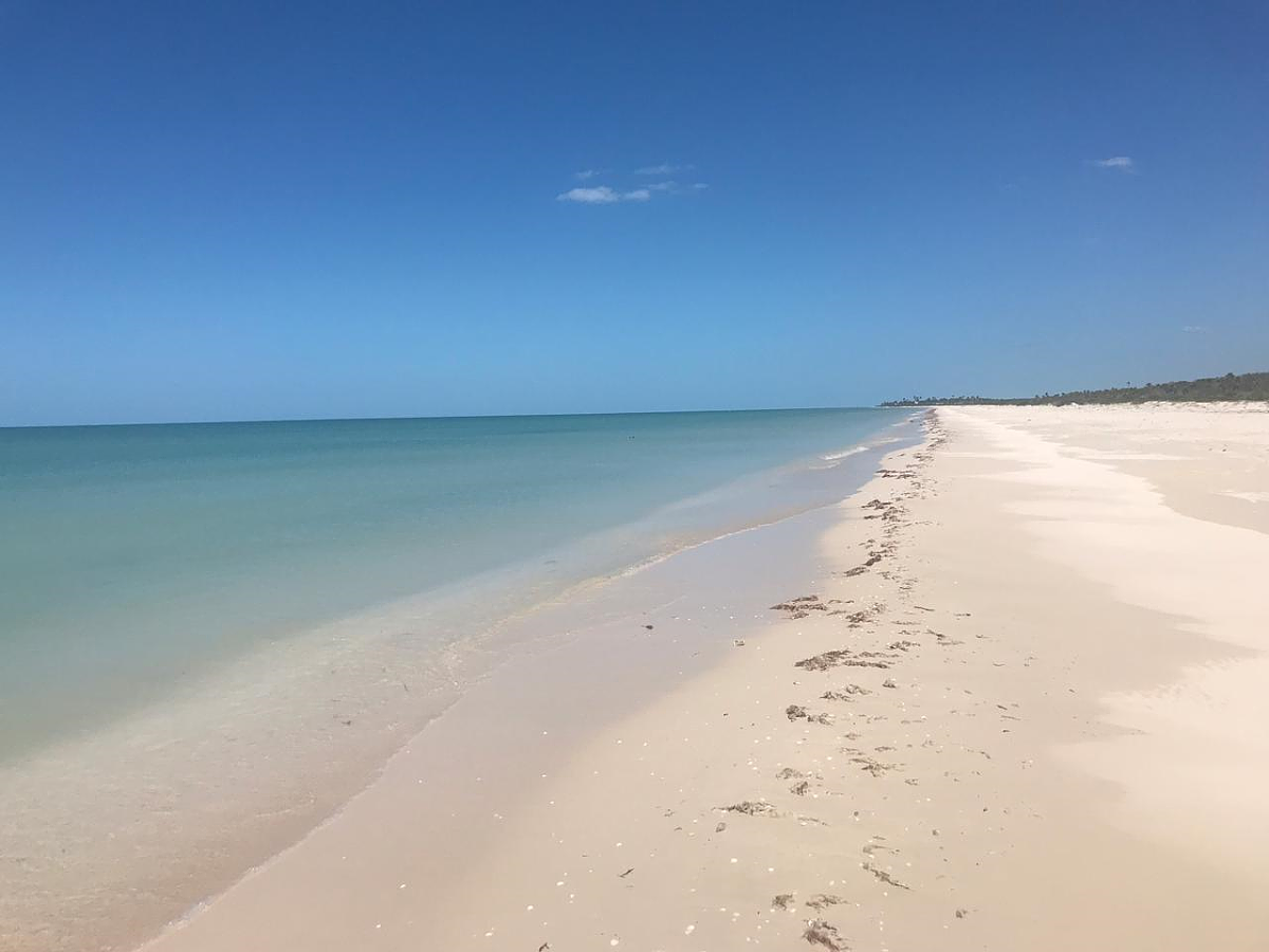 Terreno en venta frente al mar en  Sisal, Yucatán. — foto 6